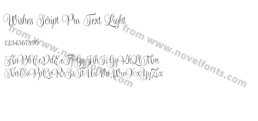 Wishes Script Pro Text LightPreview
