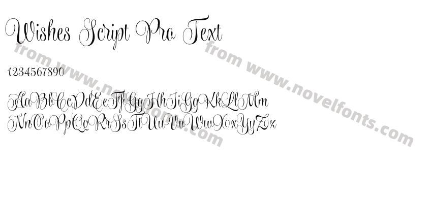 Wishes Script Pro TextPreview
