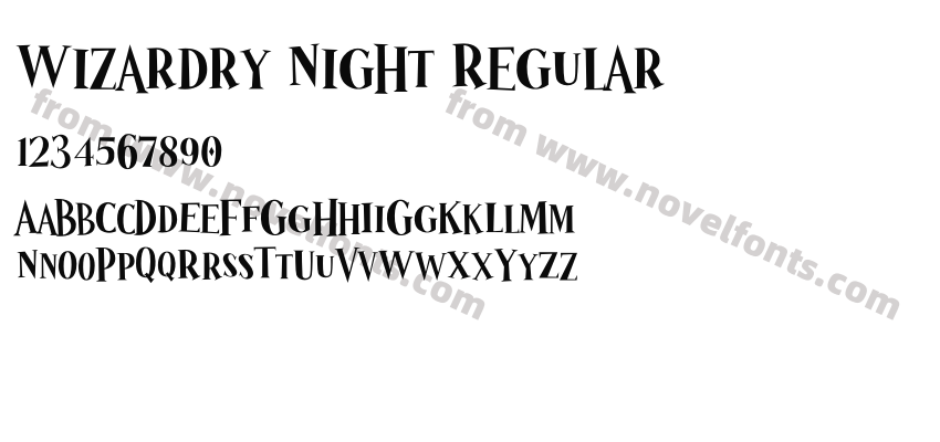 Wizardry Night RegularPreview