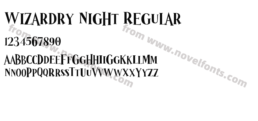 Wizardry Night RegularPreview