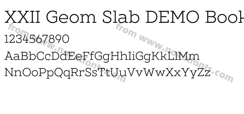 XXII Geom Slab DEMO BookPreview
