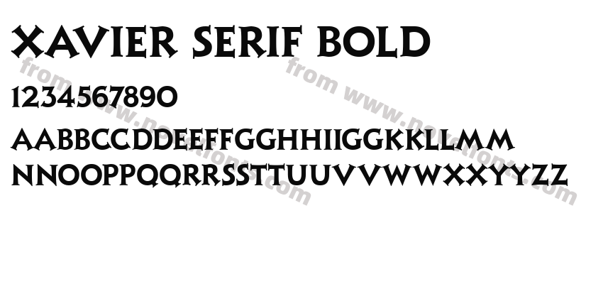 Xavier Serif BoldPreview