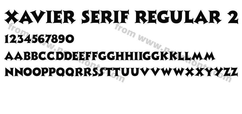 Xavier Serif Regular 2Preview
