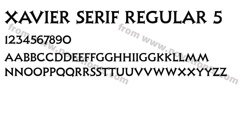 Xavier Serif Regular 5Preview