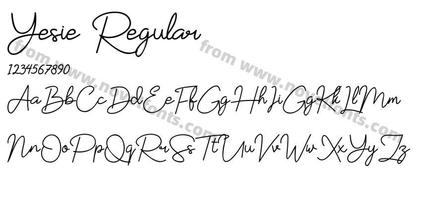 Yesie RegularPreview
