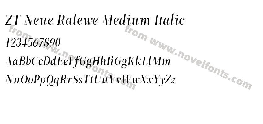 ZT Neue Ralewe Medium ItalicPreview