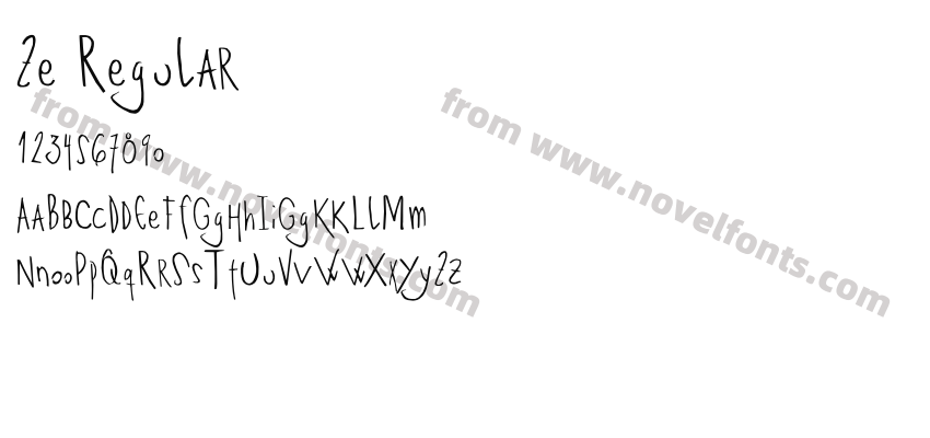 Ze RegularPreview