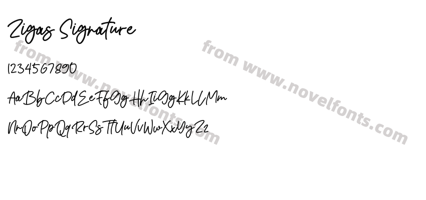 Zigas SignaturePreview