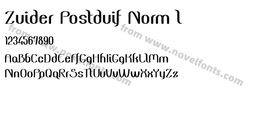 Zuider Postduif NormálPreview
