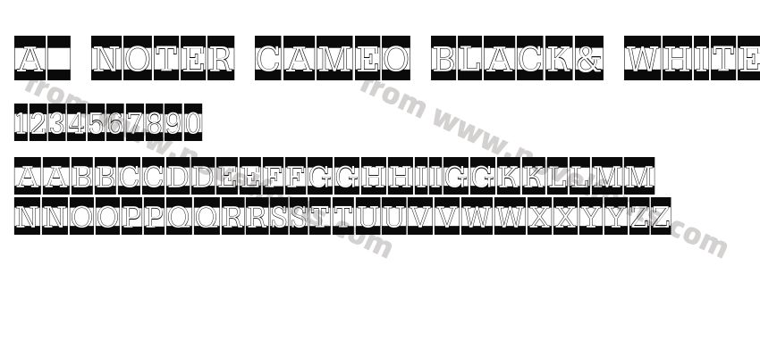 a_ Noter Cameo Black& WhitePreview