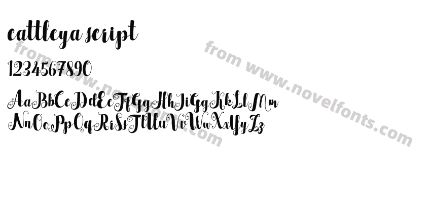 cattleya scriptPreview