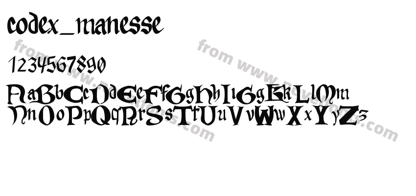 codex_manessePreview