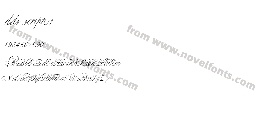 dds script01Preview