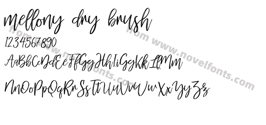 mellony dry brushPreview