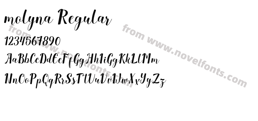 molyna RegularPreview