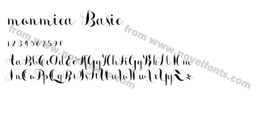 monmica BasicPreview