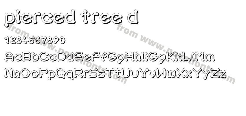 pierced tree dPreview