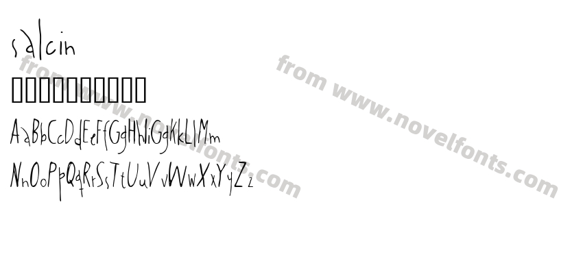 salcinPreview