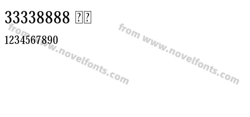33338888 常规Preview