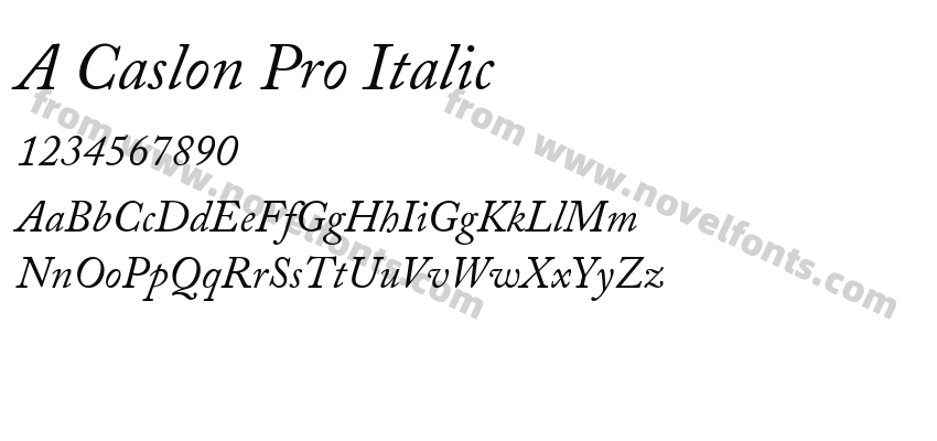 A Caslon Pro ItalicPreview