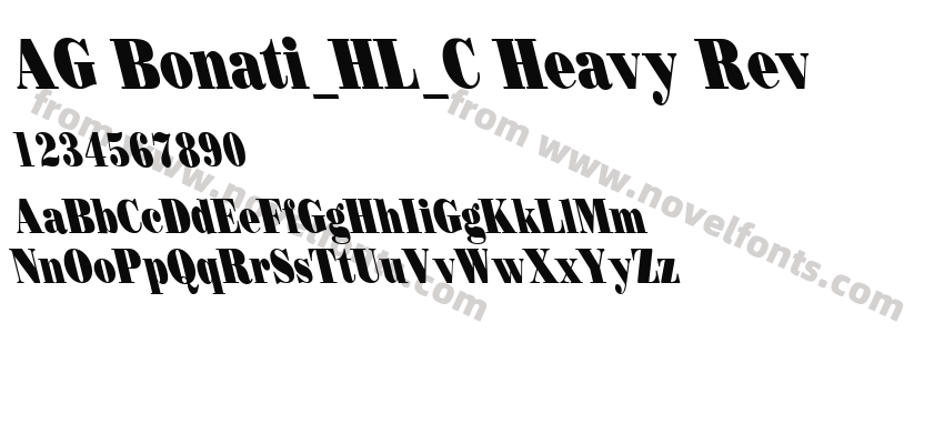 AG Bonati_HL_C Heavy RevPreview