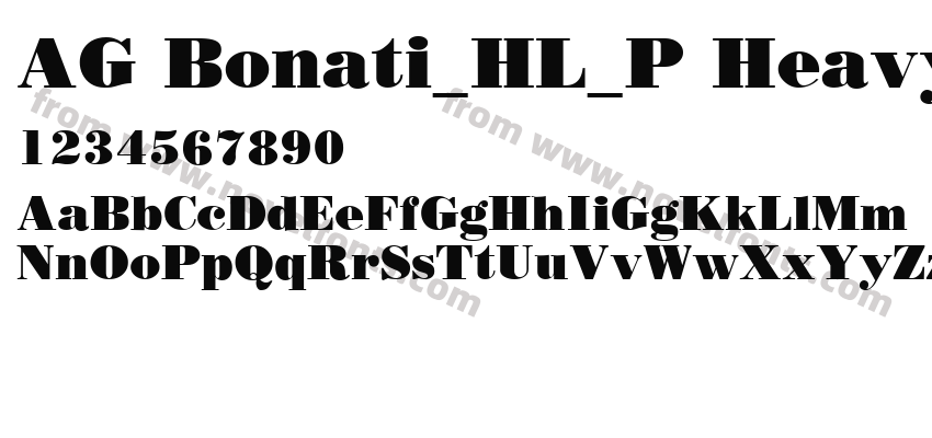 AG Bonati_HL_P HeavyPreview
