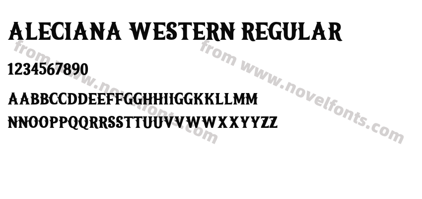ALECIANA WESTERN RegularPreview