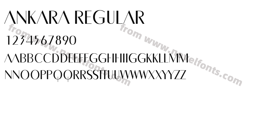 ANKARA RegularPreview