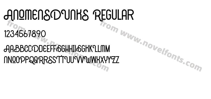 ANOMENSDUNKS RegularPreview