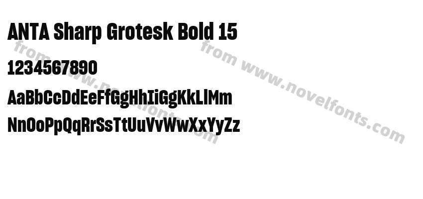 ANTA Sharp Grotesk Bold 15Preview