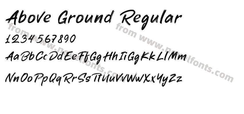 Above Ground RegularPreview