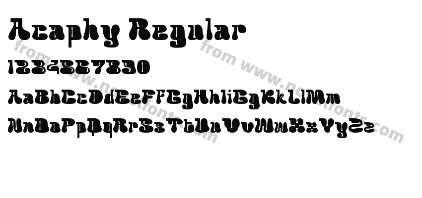 Acaphy RegularPreview