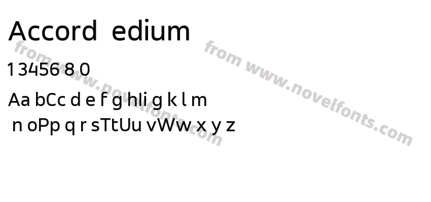 Accord MediumPreview