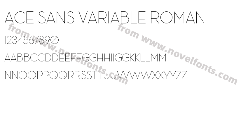 Ace Sans Variable RomanPreview