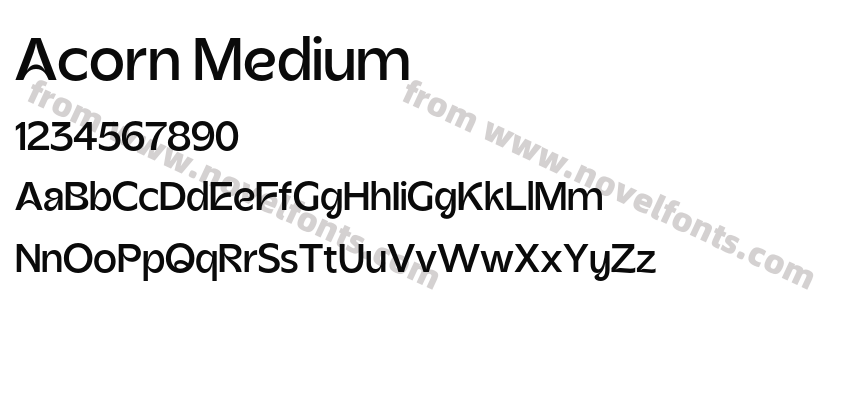 Acorn MediumPreview