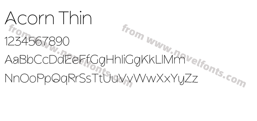 Acorn ThinPreview