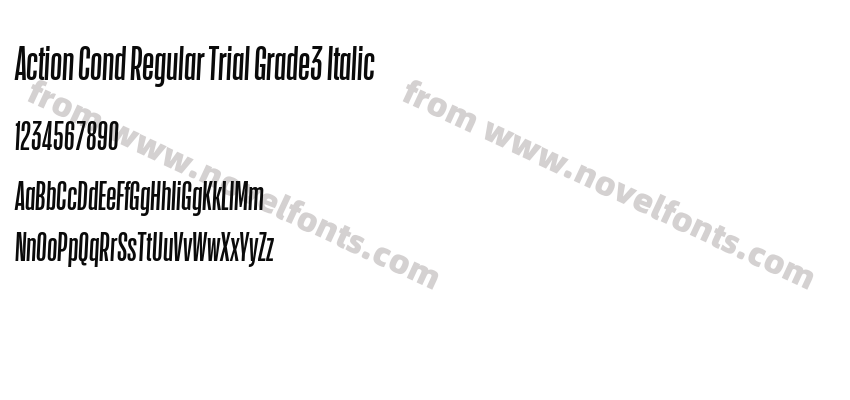 Action Cond Regular Trial Grade3 ItalicPreview