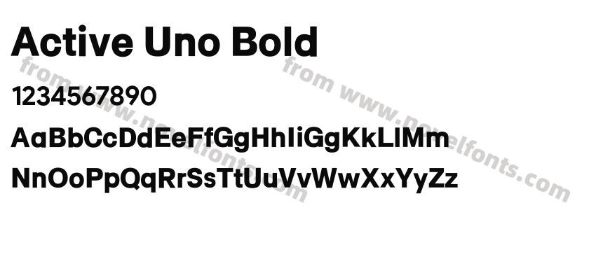Active Uno BoldPreview