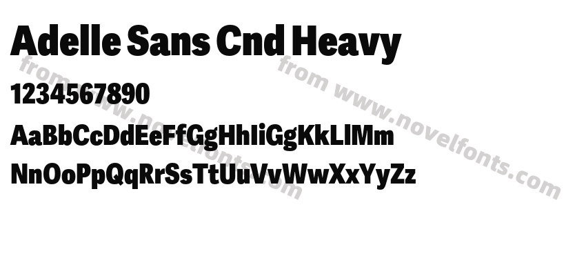 Adelle Sans Cnd HeavyPreview