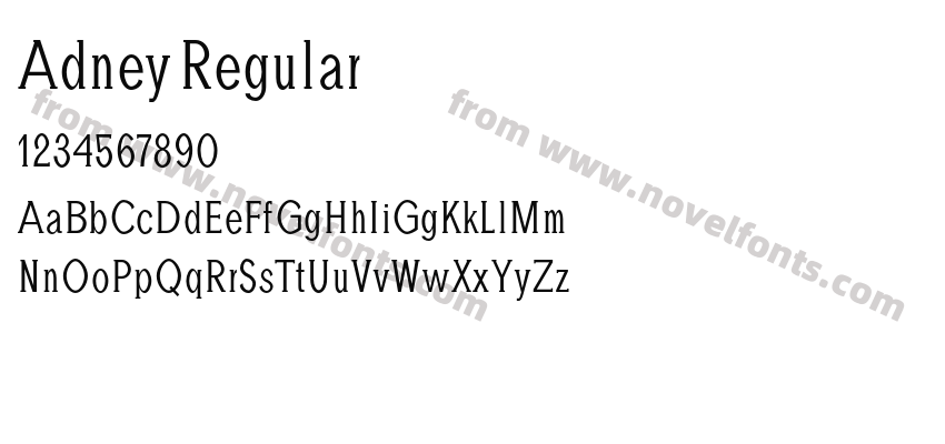 Adney RegularPreview