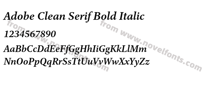 Adobe Clean Serif Bold ItalicPreview