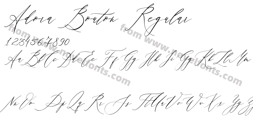 Adora Bouton RegularPreview