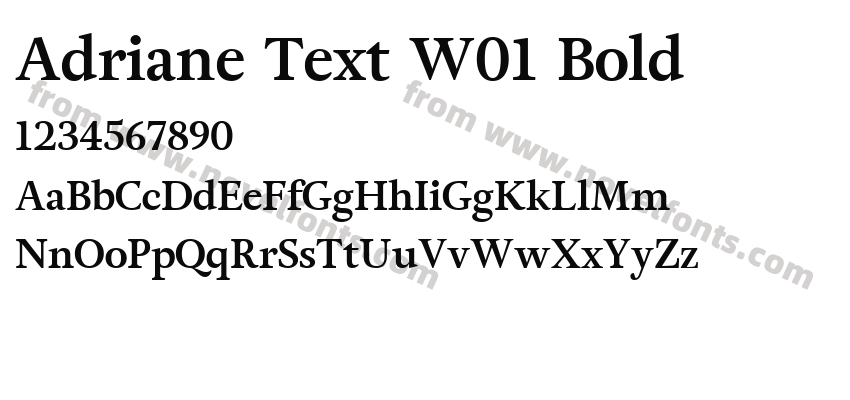 Adriane Text W01 BoldPreview