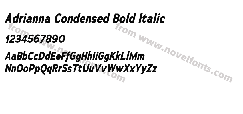 Adrianna Condensed Bold ItalicPreview