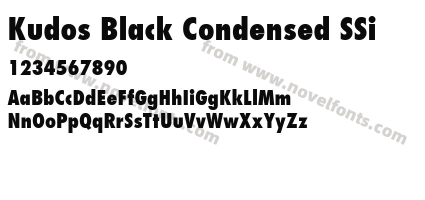 Kudos Black Condensed SSiPreview