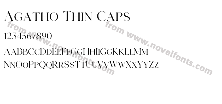 Agatho Thin CapsPreview