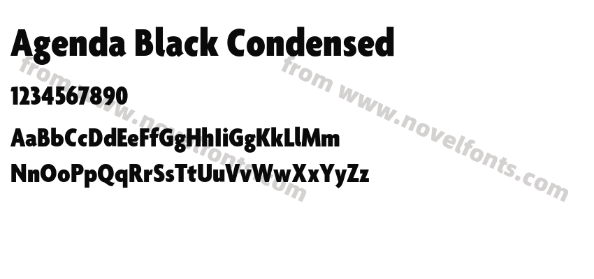 Agenda Black CondensedPreview