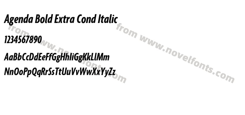 Agenda Bold Extra Cond ItalicPreview