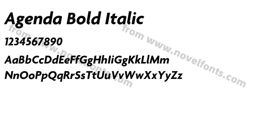 Agenda Bold ItalicPreview