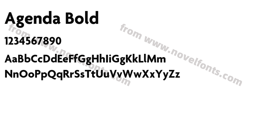 Agenda BoldPreview